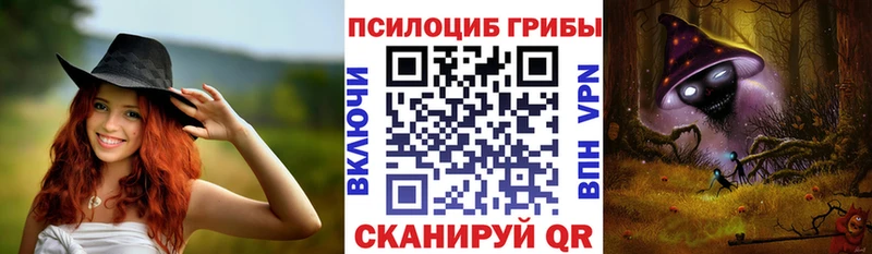 Псилоцибиновые грибы Magic Shrooms  купить наркотики сайты  Донской 
